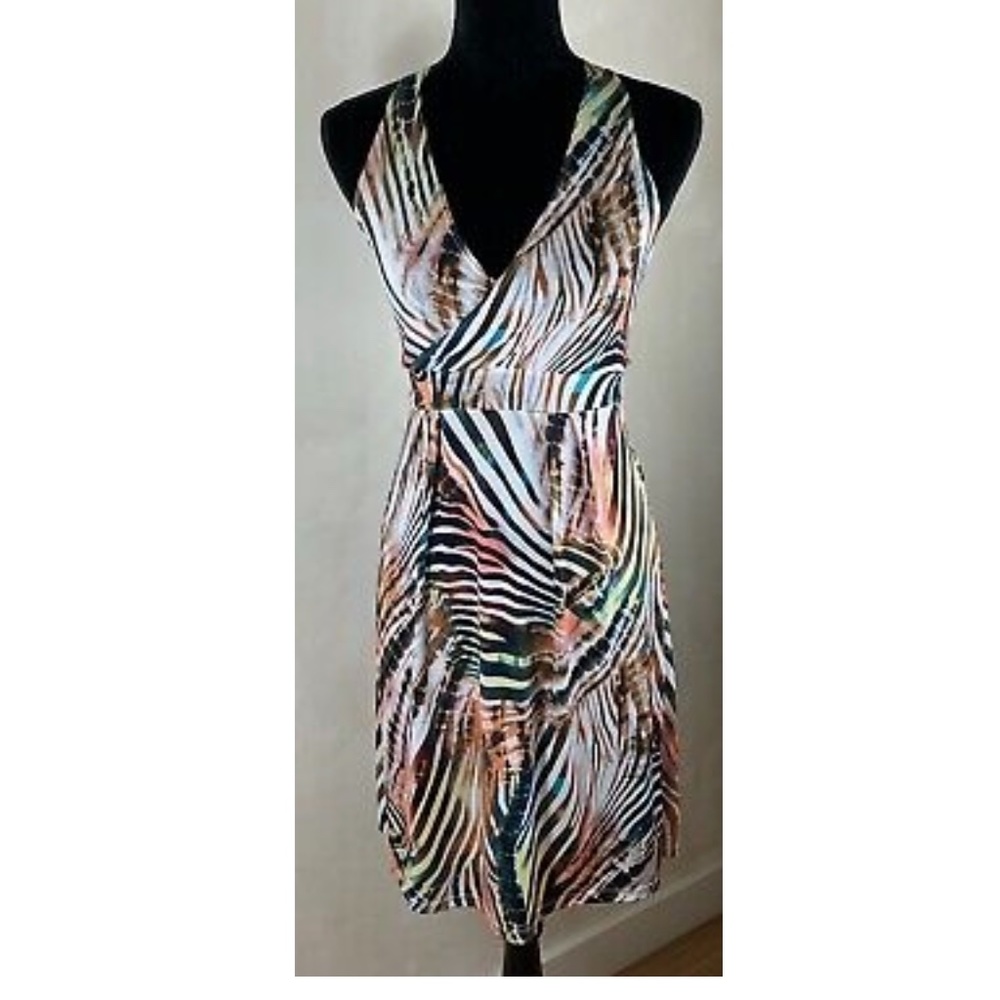 CSILLA SOMOGYI Colorful Zebra Short Reka Dress